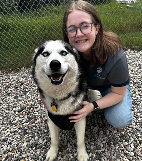 How Veterinary Radiology Helps Your Pet