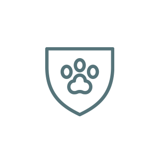 Pet insurance icon